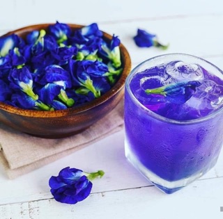 combo 25 Hạt hoa đậu biết