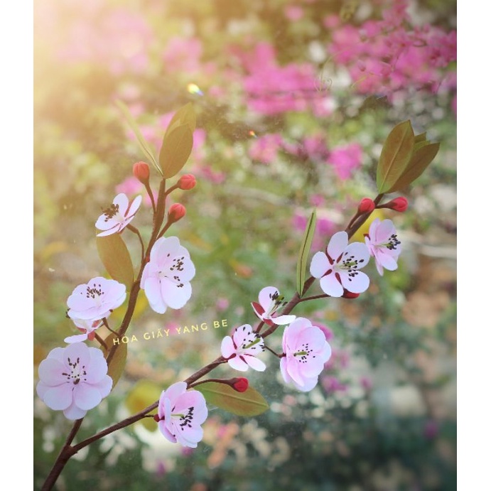 Nguyên liệu làm hoa mai đào