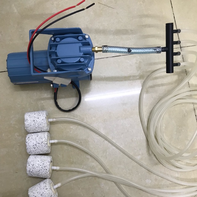 Máy sục oxy cho bể cá loại 12v 18w