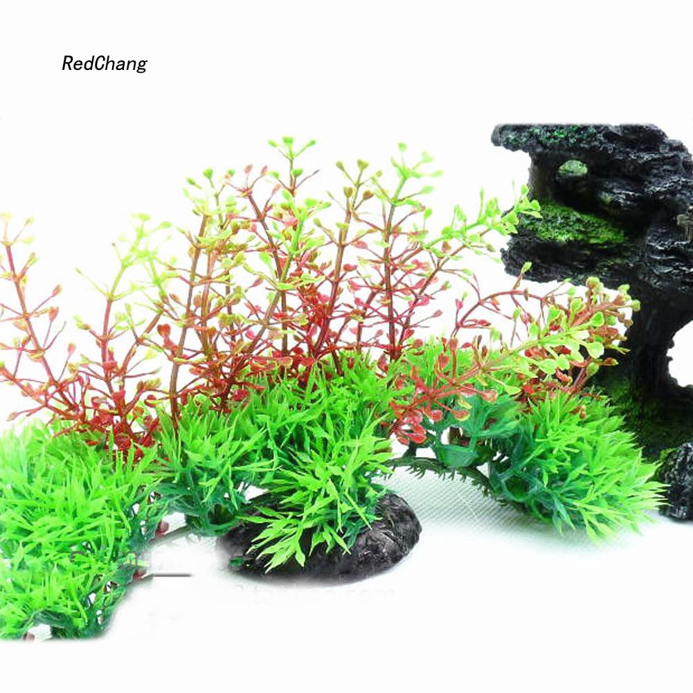 Cây cỏ nhân tạo màu sắc tươi sáng dùng để trang trí bể cá