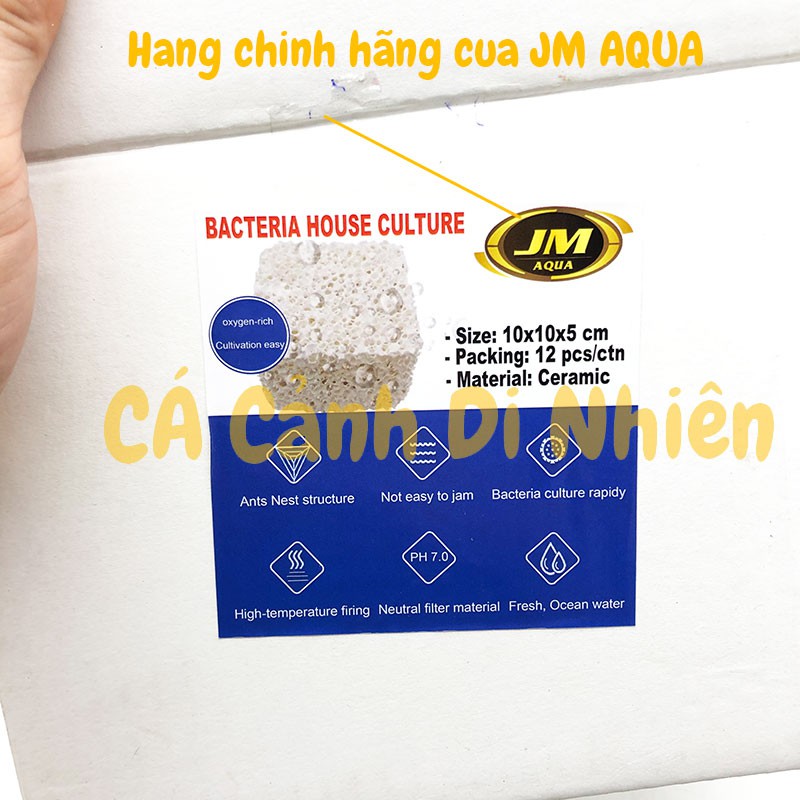Sứ lọc cốm vuông BACTERIA HOUSE Culture lọc nước hồ cá JM AQUA 10x10x5cm
