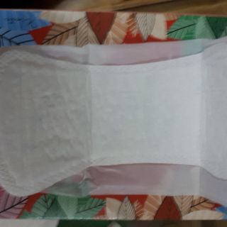 Băng vệ sinh Thạch Thảo Hàng Ngày