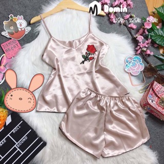 Combo 10 bộ mặc nhà ( t.loan )