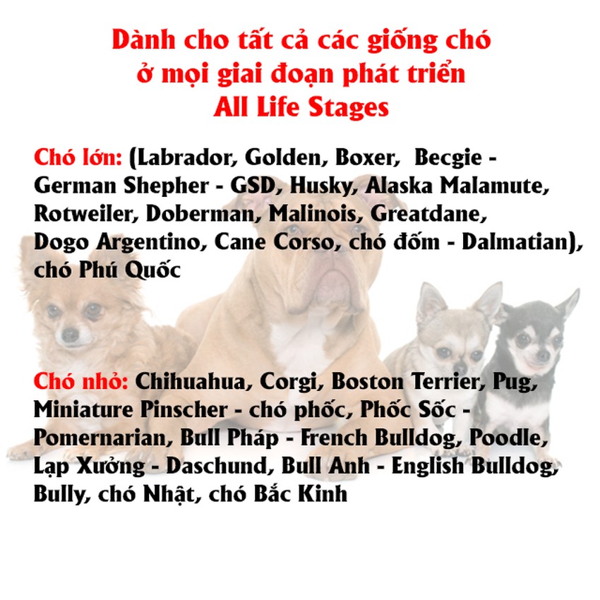 Thức Ăn Hạt Cho Chó Con Nutrience Subzero Bao 500g - Thức Ăn Cho Chó, Gồm Có 6 Loại Thịt Cá, Rau Củ, Trái Cây