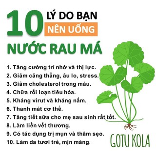 Bột rau má nguyên chất uống liền ORAMA