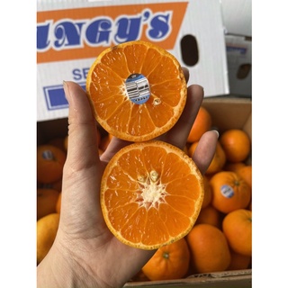 Quýt Úc - Ngọt thơm - Giàu Vitamin C