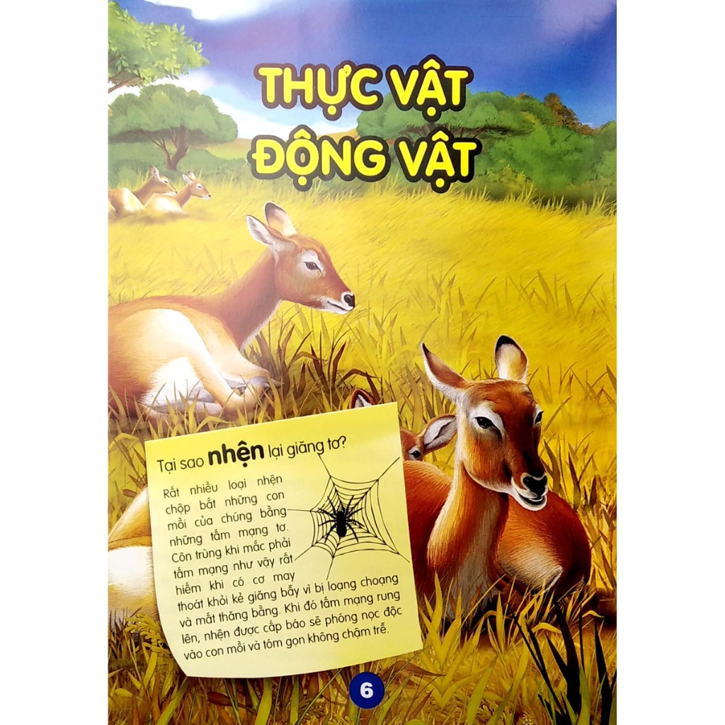 Sách - Chìa Khóa Mở Cửa Thế Giới - Em Muốn Biết Tại Sao? - VT