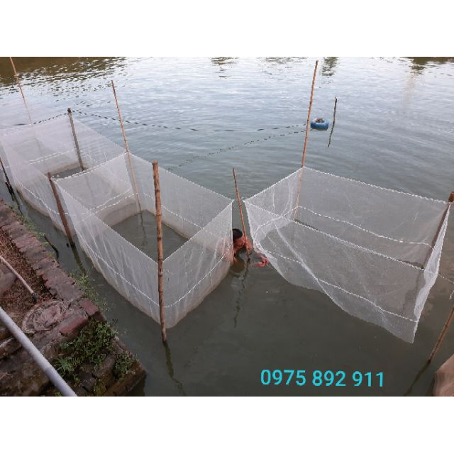 Tráng nuôi ốc nhồi - ếch - cá loại 2x1x1,3 sản phẩm tốt 121