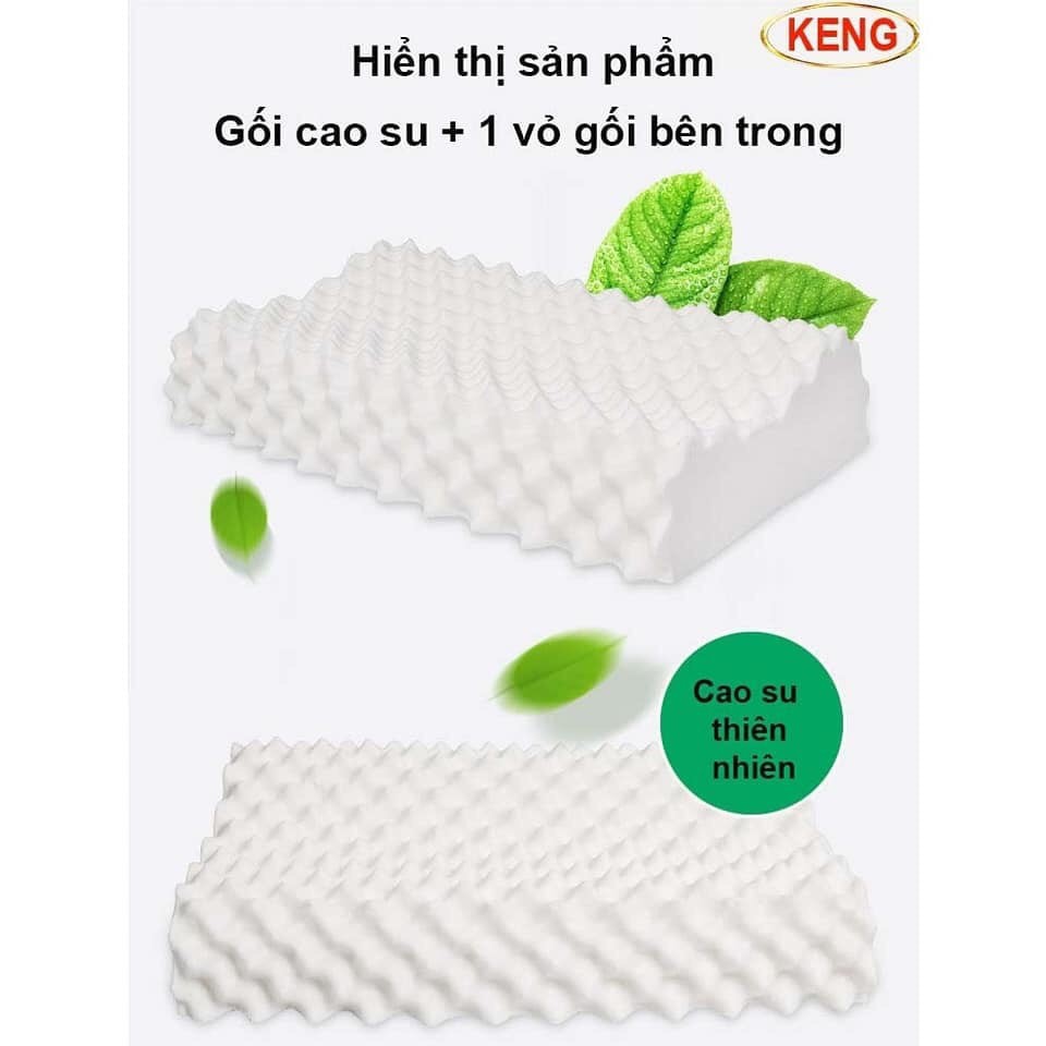 GỐI CAO SU NON, GỐI VENTRY - HÀNG THÁI - Đàn Hồi Siêu Tốt, Thông Thoáng, Chống Đau Vai Gáy, Chống Ngáy - SALE LỚN