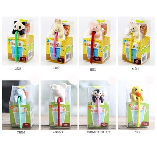 Chậu trồng cây mini để miệng ly tự tưới