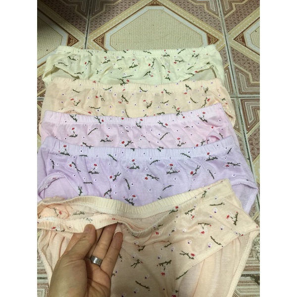 10 quần lót cotton đông xuân mông to cho người 75kg,quần lót bà già