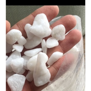 Đá trắng trang trí bể cá 200g