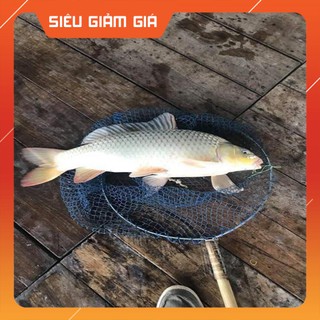 [Combo] R [cám D3]Mồi Câu Cá D3 siêu nhạy,cá tra, trê, rô phi-cám câu cá [Giá rẻ]