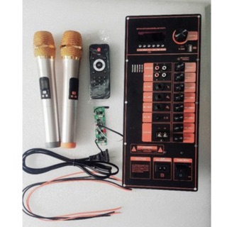 Bo mạch loa kéo kèm mic không dây