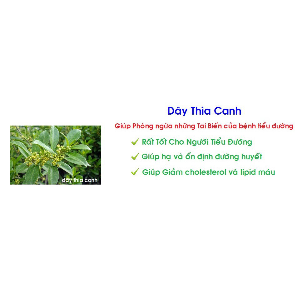 1kg Dây thìa canh khô nguyên chất hàng chuẩn xịn