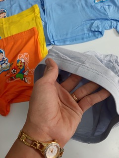 Combo 5 quần sịp bé trai