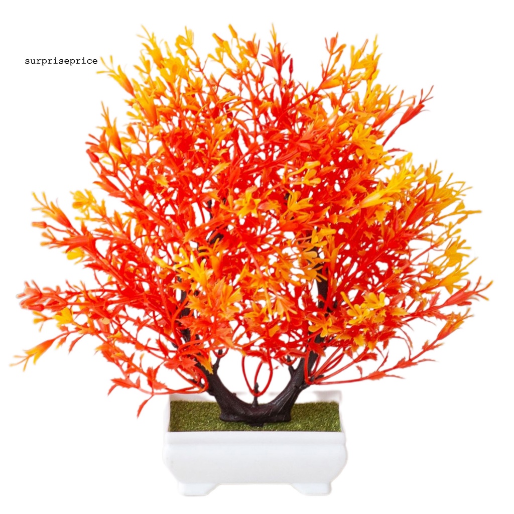 Chậu Cây Bonsai Giả Trang Trí