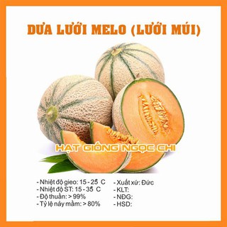 Hạt giống dưa lưới melo - 10 hạt