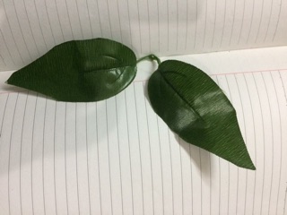 1 Lạng Lá nhựa