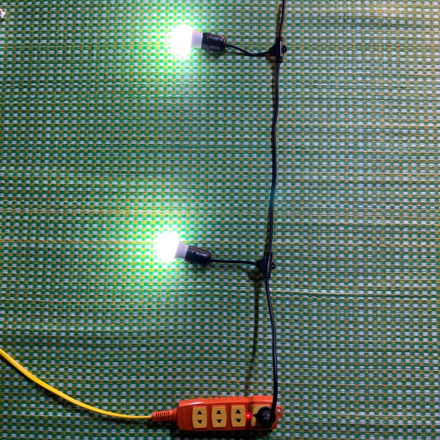 Dây đèn trang trí ngoài trời dùng cho quán cà phê, trà chanh, trà sữa... 10m 20 bóng, 7,5m 15 bóng 5m 10 bóng