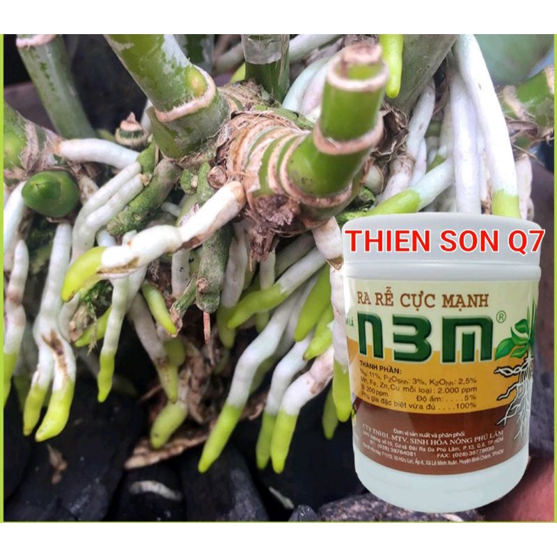 Hủ 100g Thuốc Ra Rễ N3M Trồng Lan & Cây Kiểng