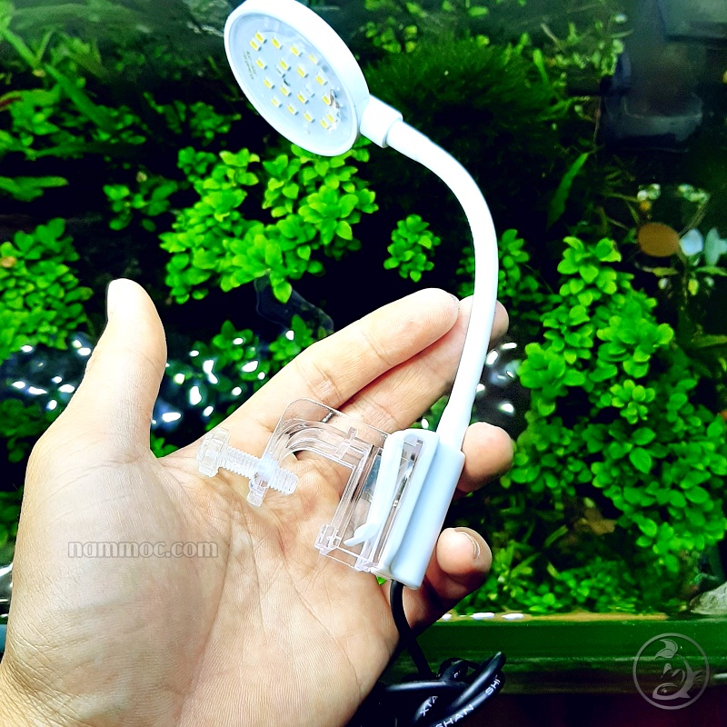 Đèn LED Mini Clip Lamp JY-25 || Led Kẹp Dùng Cho Bể Cá Mini 25cm, Chậu Cá Tròn Để Bàn