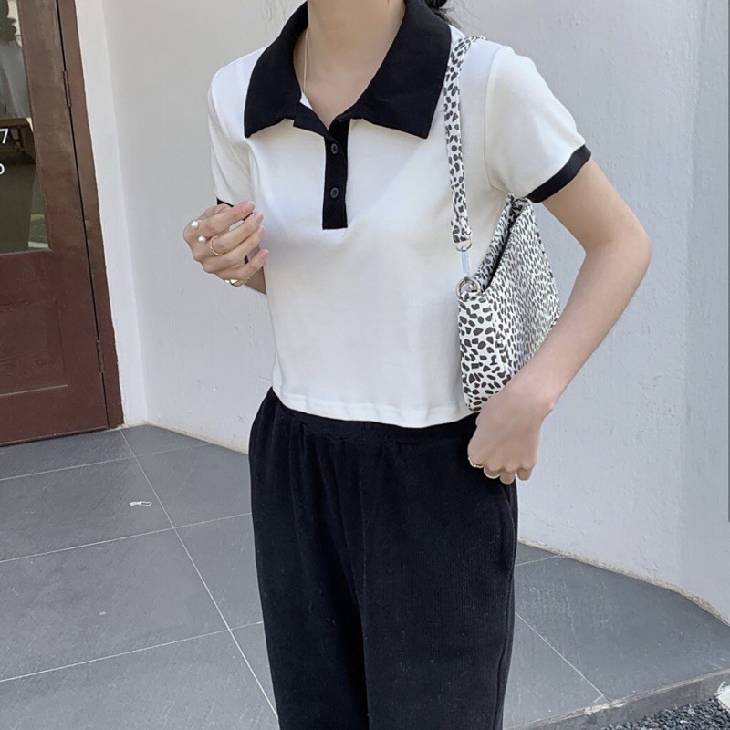 áo polo croptop cổ màu