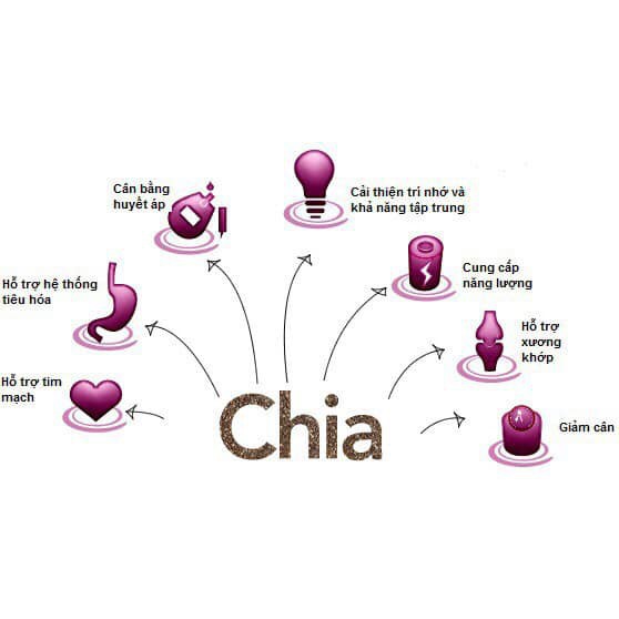 [Mua 5 Giảm 5%] Hạt chia úc BLACK BAG CHIA 500G