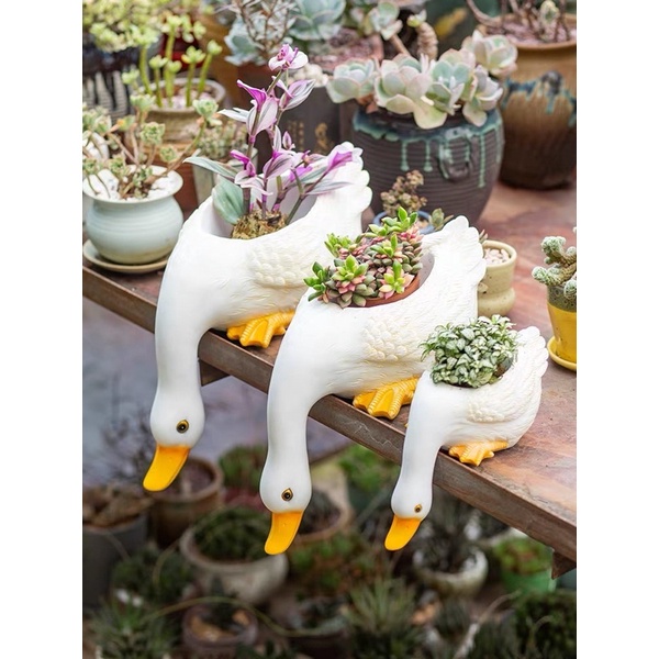 SET 3 CHẬU VỊT TRỒNG CÂY