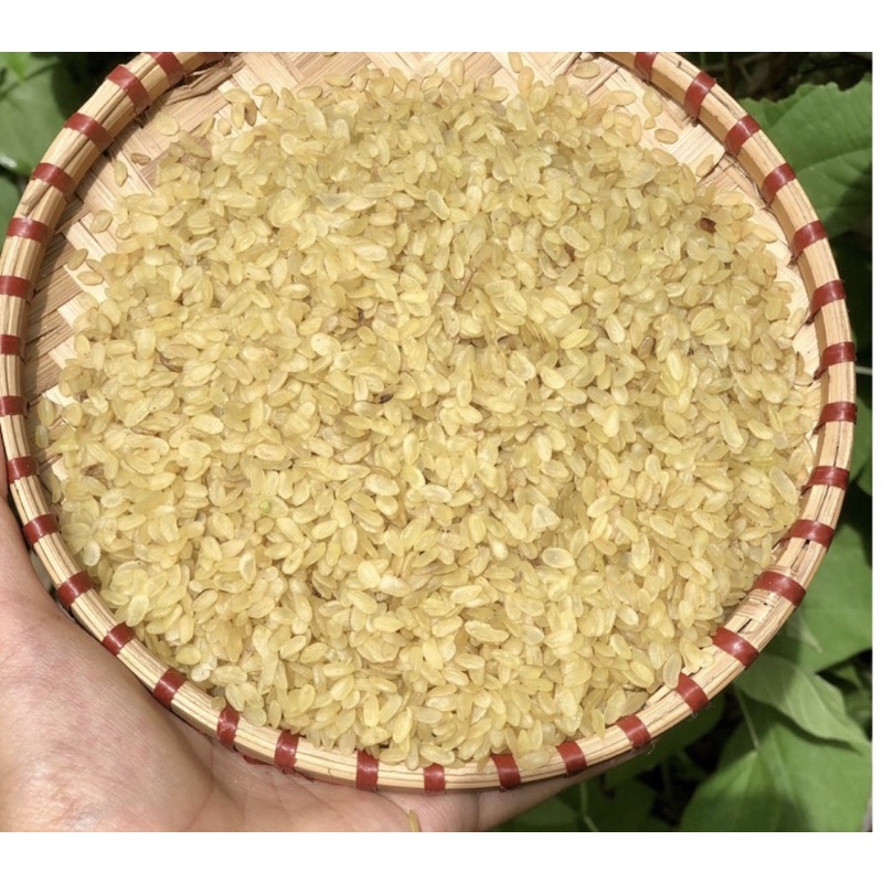 CỐM NẾP VÀNG  1KG