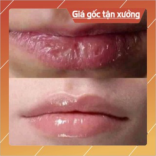 SON DƯỠNG MÔI MỠ HƯƠU TO Astrid