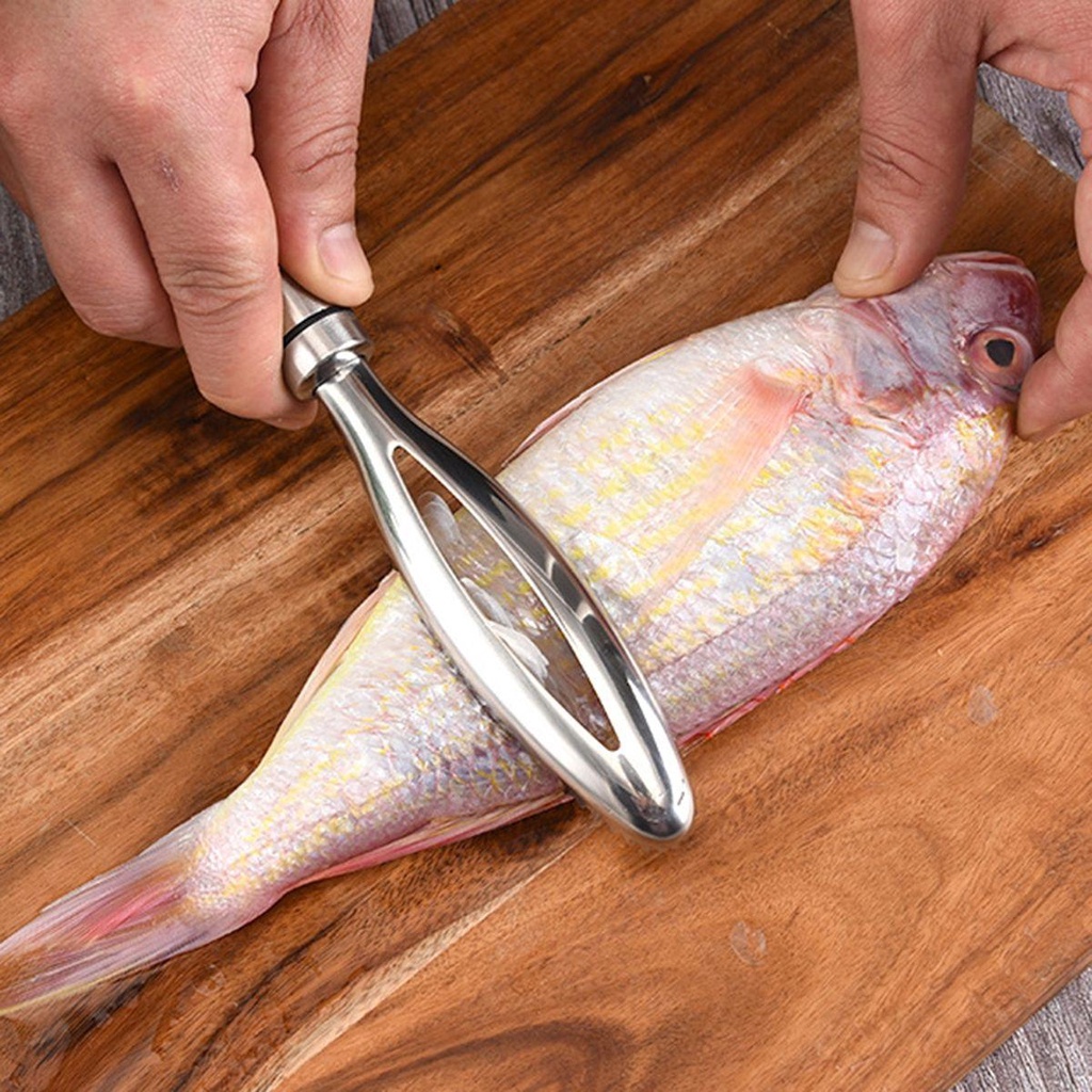Sjl Cọ Đánh Vảy Cá Bằng Thép Không Gỉ Hiệu Quả