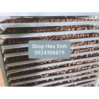 Hạt Macca  (mắc ca) Tây Nguyên 500gr