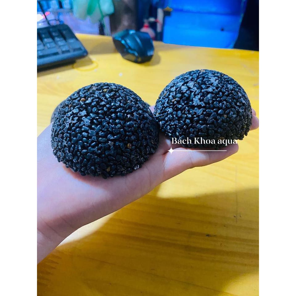 Giá thể cầu để gắn rêu ráy