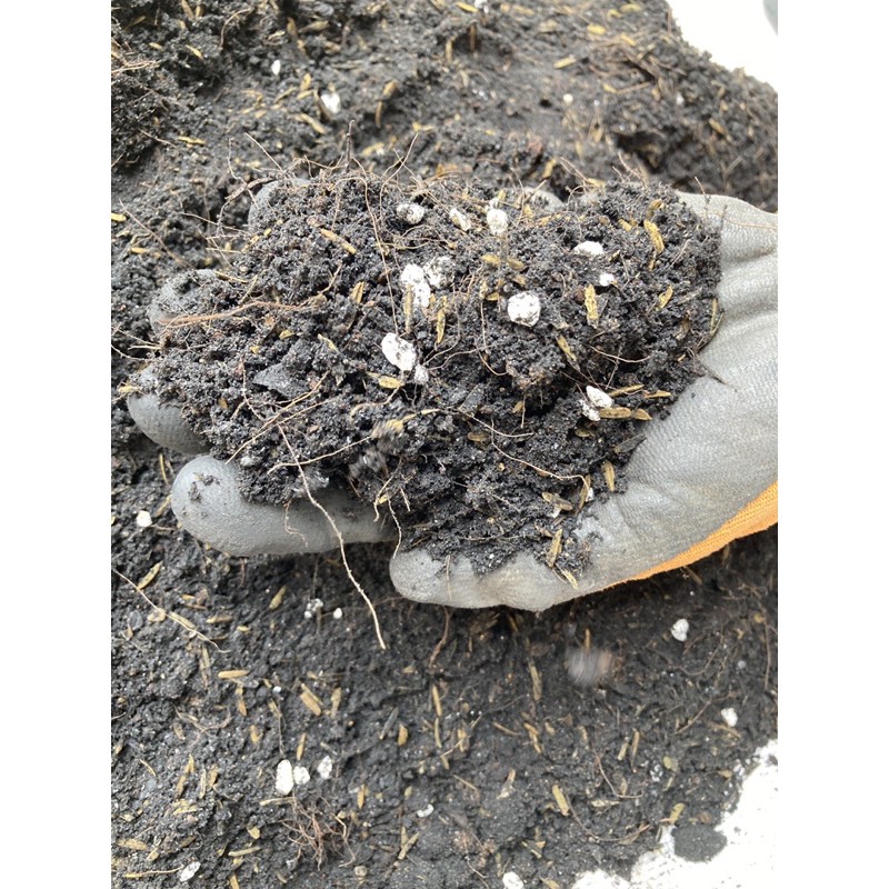 3kg Giá Thể Đất trồng cây gia vị JUN GARDEN