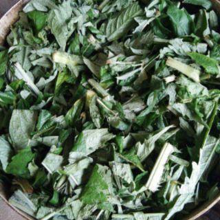 Cao atisô sapa date 2020