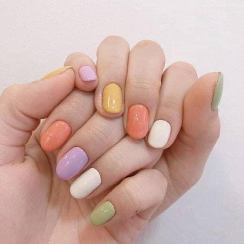 Nail box xinh nhiều màu