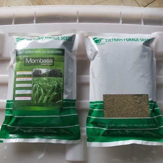 Hạt giống cỏ ghine mombasa _ cỏ xả lá lớn gói 100g
