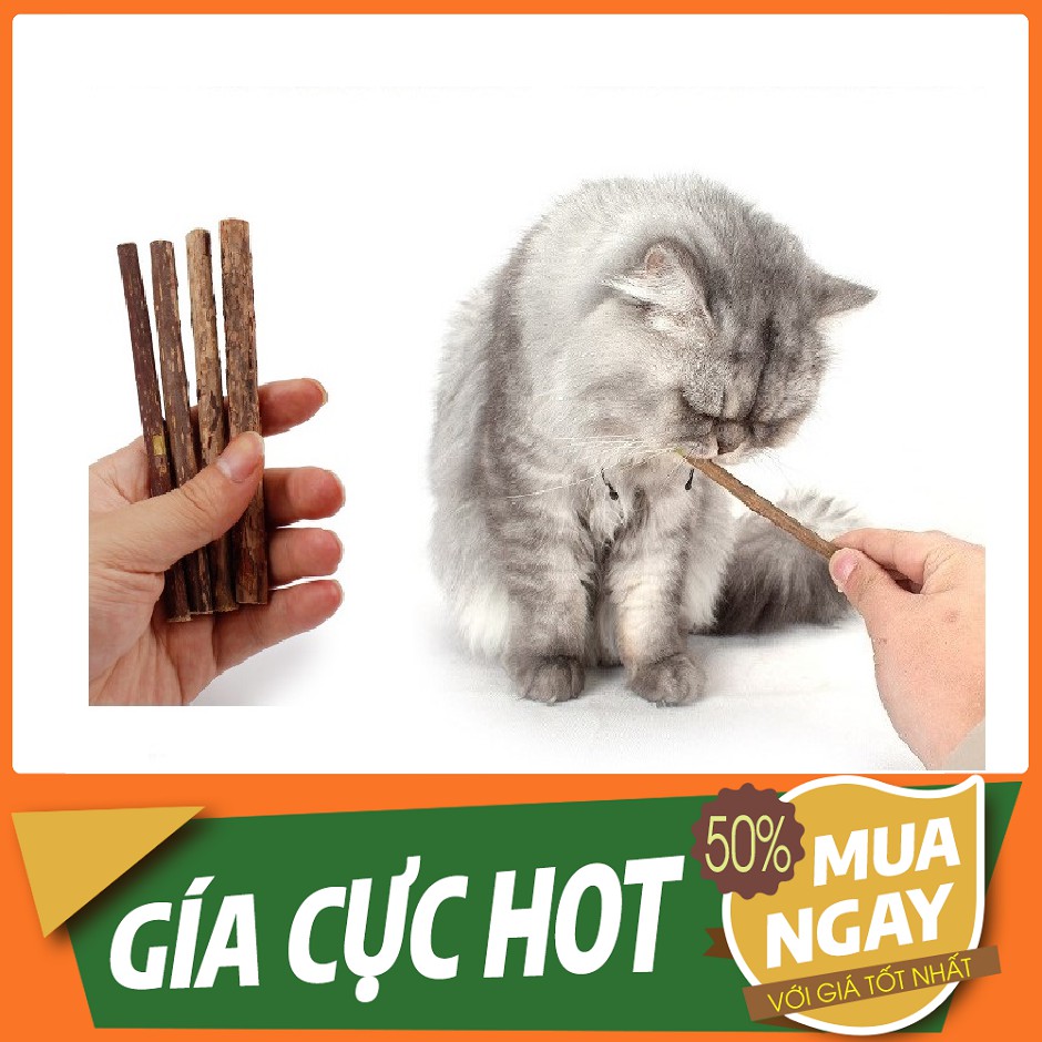 GỖ CANIP BẠC HÀ CHO MÈO GẶM TRẮNG RĂNG - BẠC HÀ MÈO - CANIP MÈO