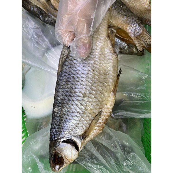 Cá Astrakhan  Nga 1kg