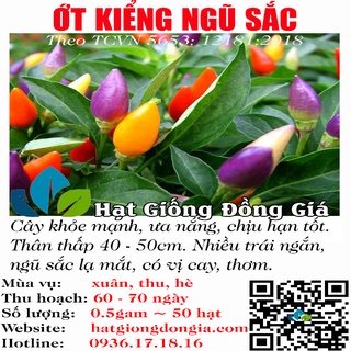 0,5gram hạt giống ớt ngũ sắc cảnh mini sai quả