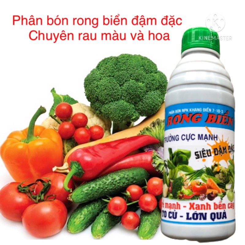 Phân Bón Rong Biển SEAWEED VTS02 Đậm Đặc Chuyên rau màu: dưa chuột, rau ăn lá, cà chua, măng tây, ớt chai 1.000ml