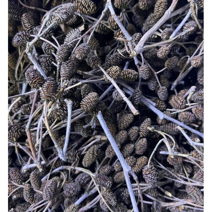 Trái Thông Khô ALDER CONES (Erlenzaphen) - Quả thông giúp tép giảm stress - phụ kiện tép