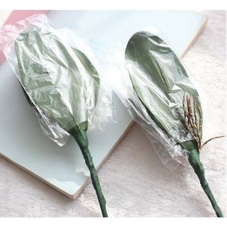 Gốc lá hoa lan trang trí