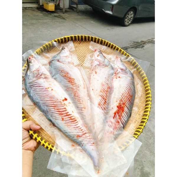 1 KÍ 4 CON🐠🐠CÁ THÁC LÁC RÚT XƯƠNG 🐠🐠 GIAO HỎA TỐC HCM