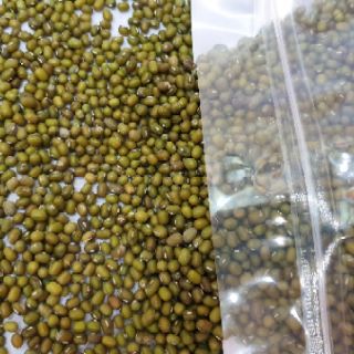 Đậu xanh hột loại 1