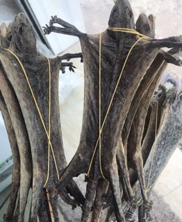 1 cặp tắc kè khô size 22cm -25 cm