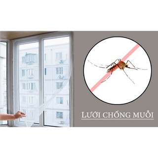 Combo 2 lưới dán chống muỗi cửa sổ
