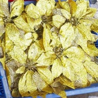 Bông trạng nguyên trang trí
