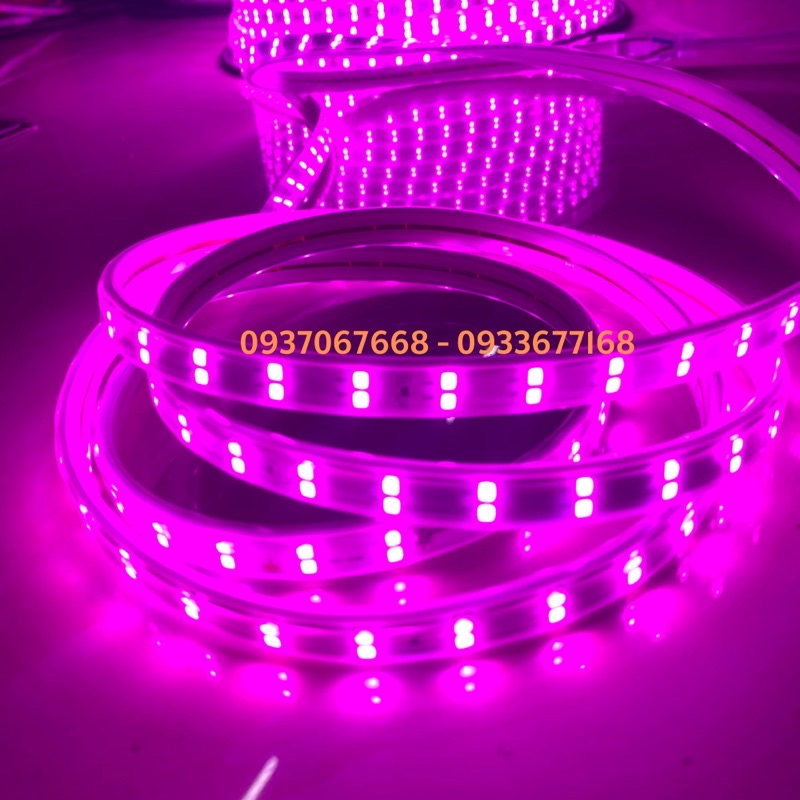 DÂY LED 2835 220V 2 HÀNG LED CHỐNG NƯỚC  - ĐÈN LED TRANG TRÍ NGÀY LỄ TẾT